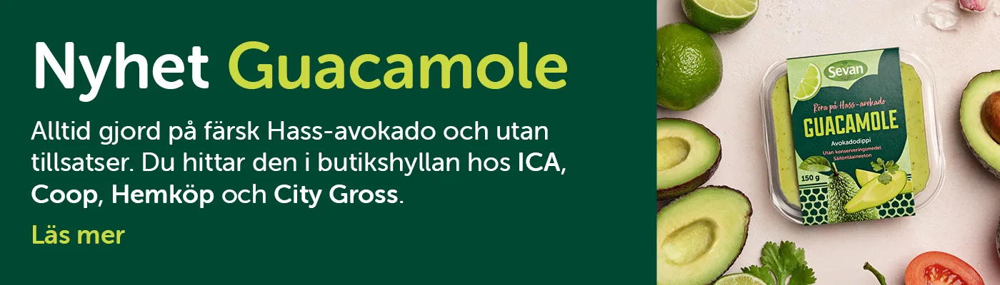 guacamole banner.webp